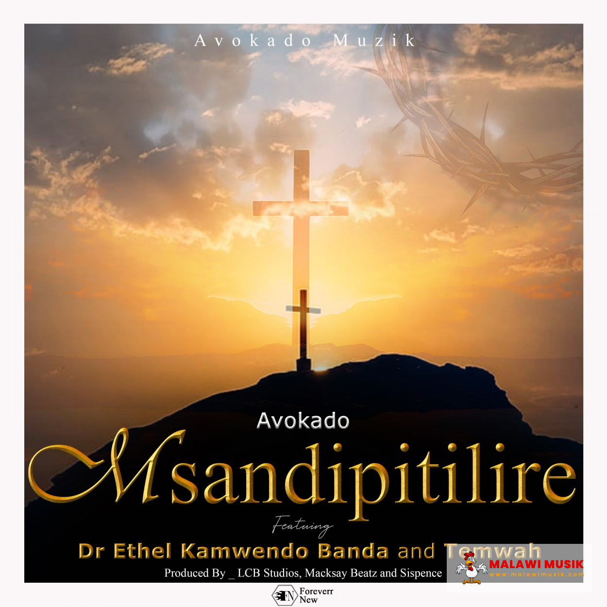 Avokado-Avokado - Msandipitilire Ft Dr Ethel Kamwendo Banda & Temwah-song artwork cover