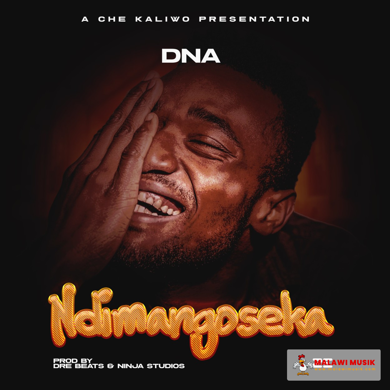 dna-dna-ndimangoseka-prod-dre-beats-ninja-studios-mp3 download