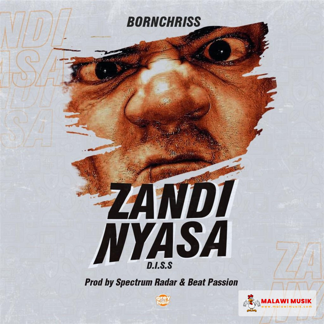 zandinyasa-diss-mp3 download